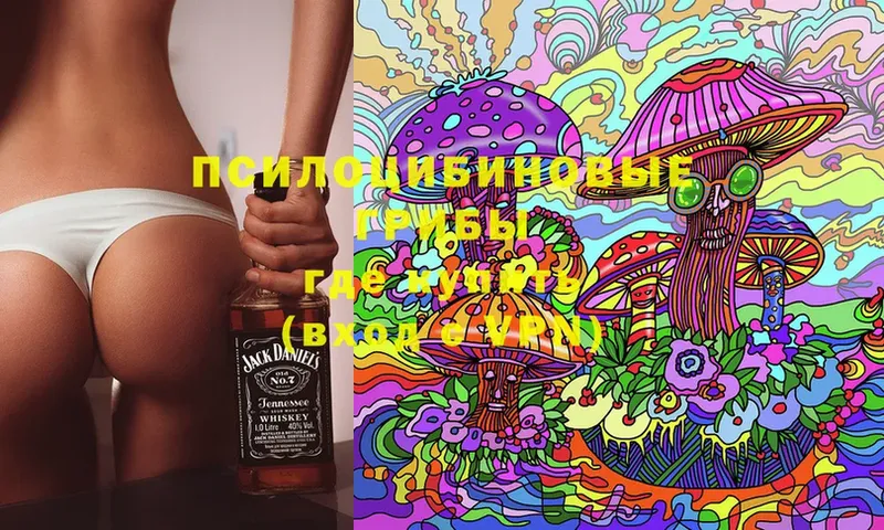 Галлюциногенные грибы Psilocybine cubensis  Сим 